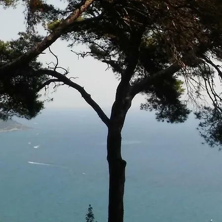 Torre Alpicella - *