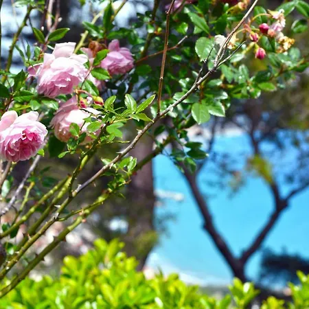 Torre Alpicella Home, A Scenic Escape Into Nature And Relaxation Holiday home