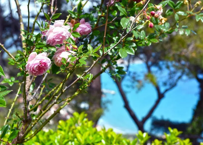 Torre Alpicella - Essenza Di Riviera Holiday Home 度假居